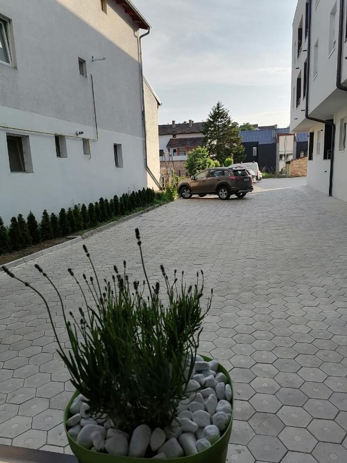 Apartman Stimac Petrovaradin Εξωτερικό φωτογραφία